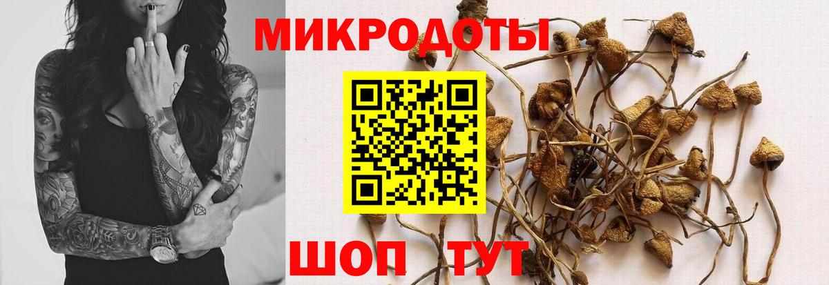 Галлюциногенные грибы прущие грибы  Вход с VPN  Галлюциногенные грибы MAGIC MUSHROOMS  Майский 