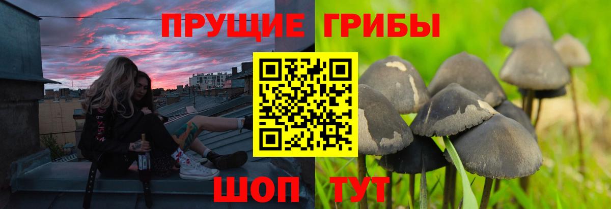 Псилоцибиновые грибы Magic Shrooms Майский